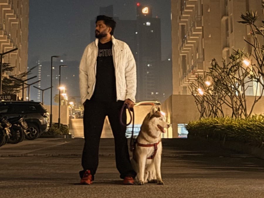 Siberian Husky 2 years 5 months old male large named jack for breeding in Pune, Maharashtra | Petmeetly