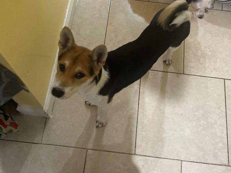 Max primary photo