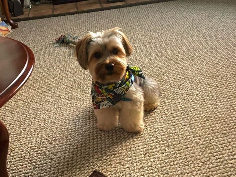 Handsome primary photo