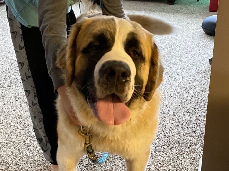 Diesel primary photo