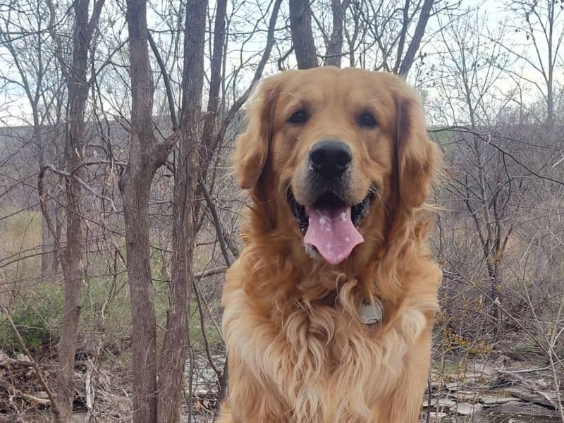 Max primary photo
