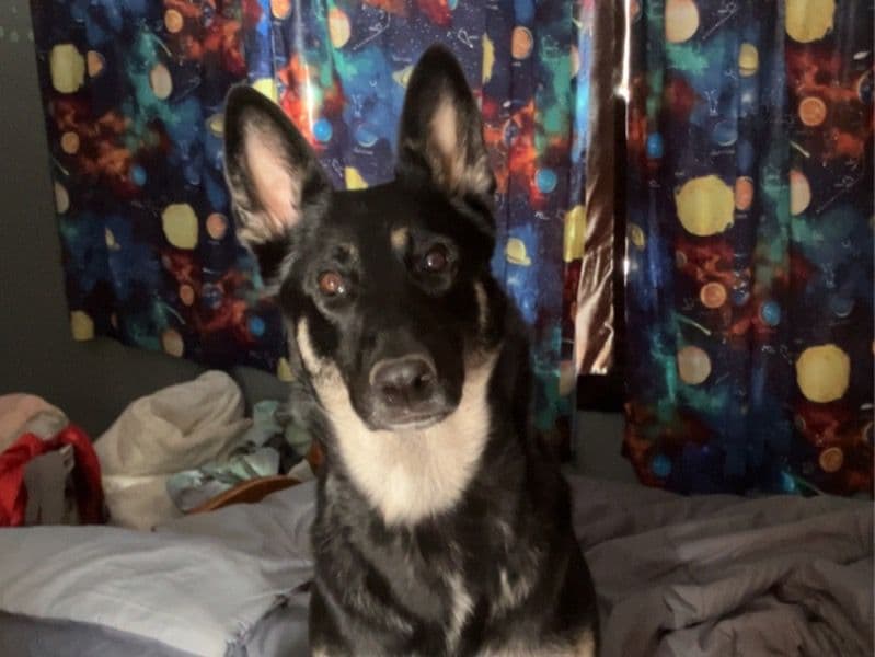 Coco primary photo