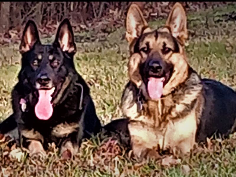 Titan & Zeus primary photo