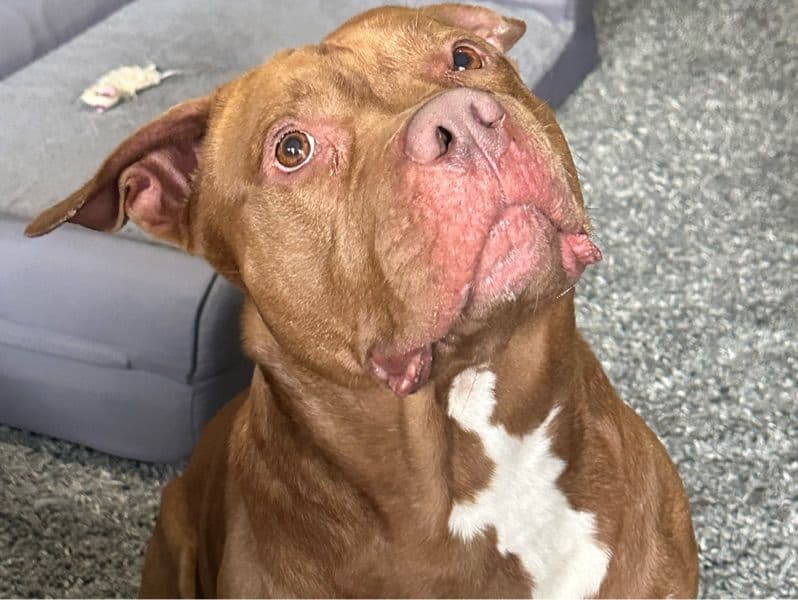 Karrot primary photo