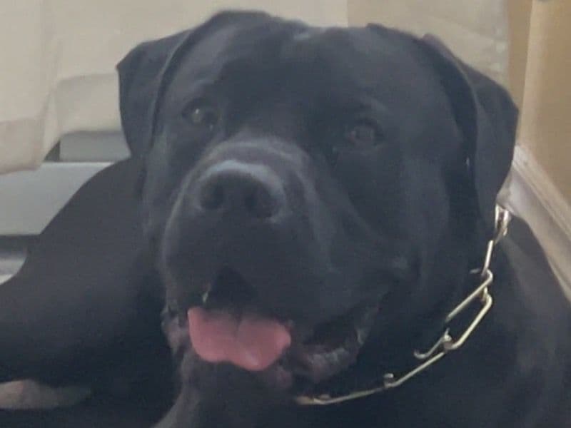 Zeus primary photo