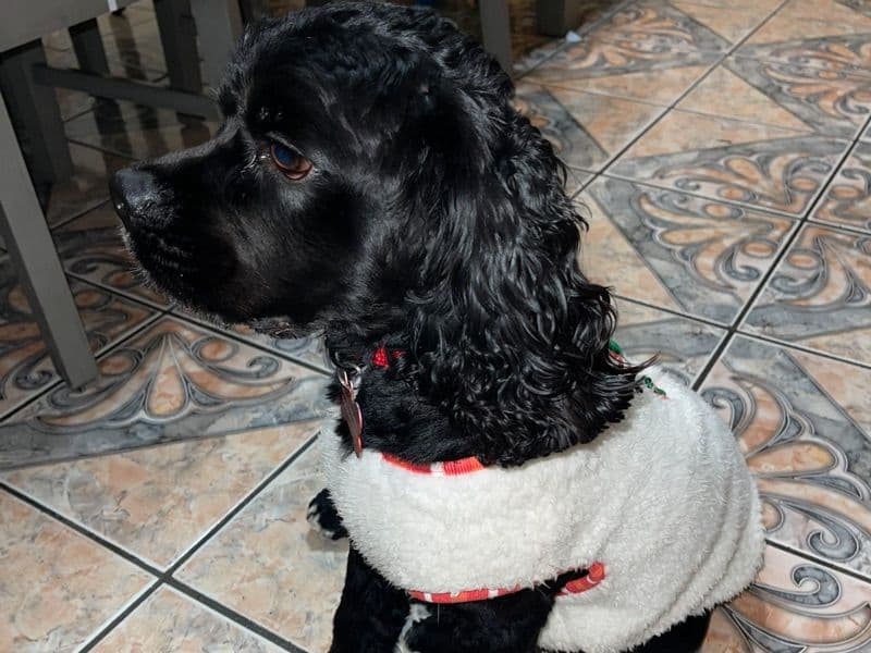 Max primary photo