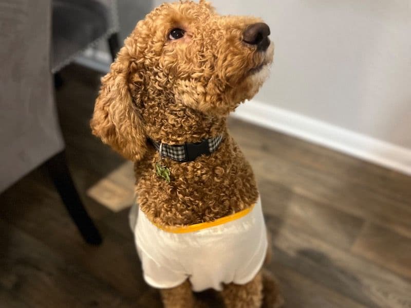 Max primary photo