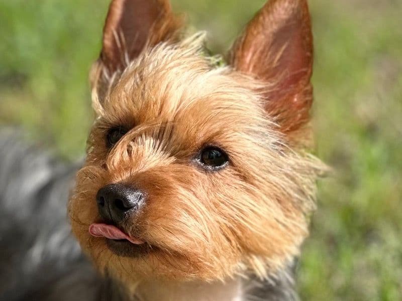 Maggie primary photo
