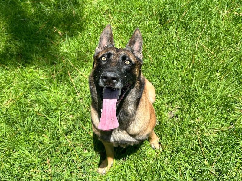 Max primary photo