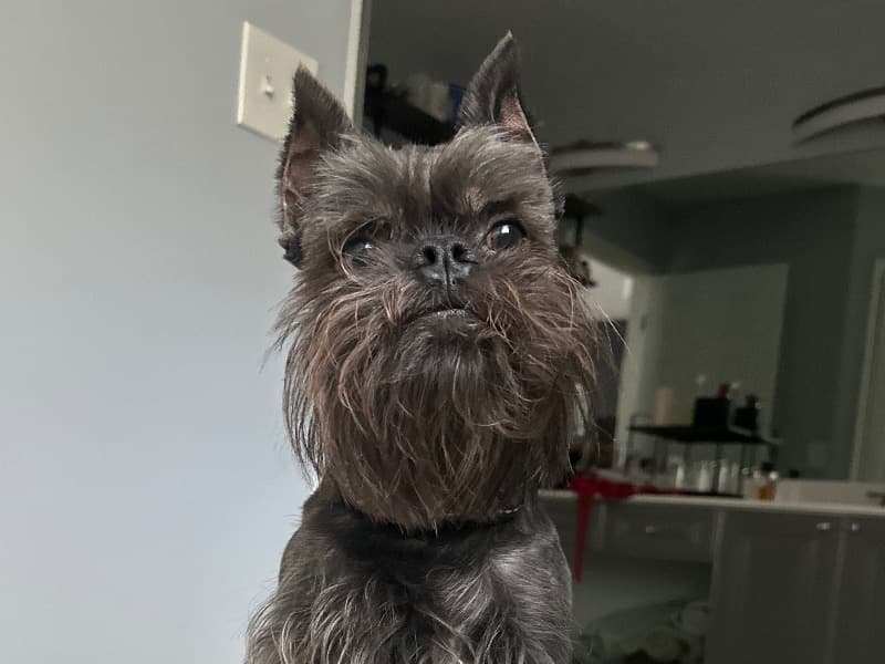 Tucker primary photo