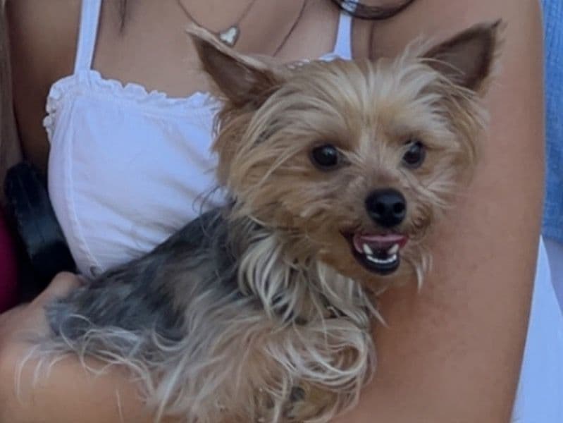Lola primary photo