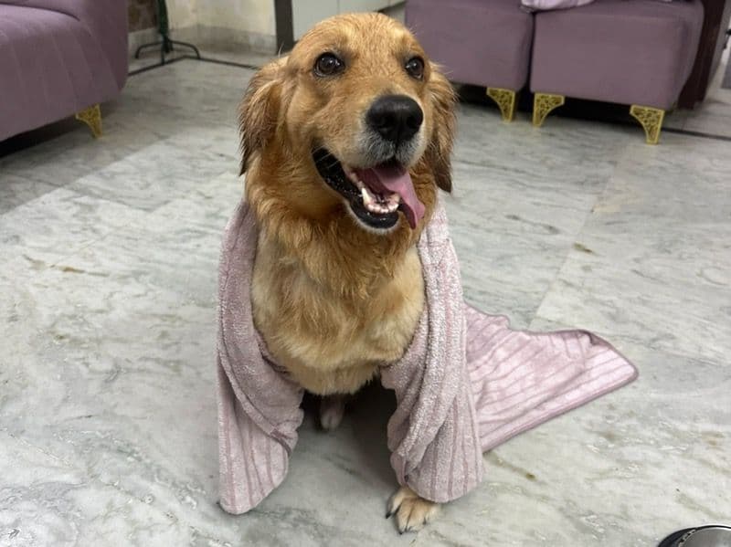 Coco primary photo