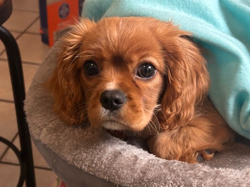 Martin primary photo