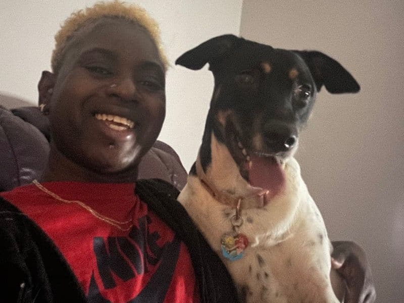 Jack Russell Terrier 1 year old female small named Queen Banks for adoption in Jefferson County, Alabama | Petmeetly