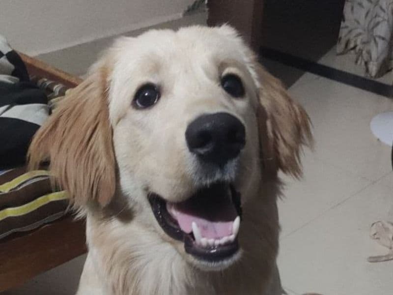 Max primary photo