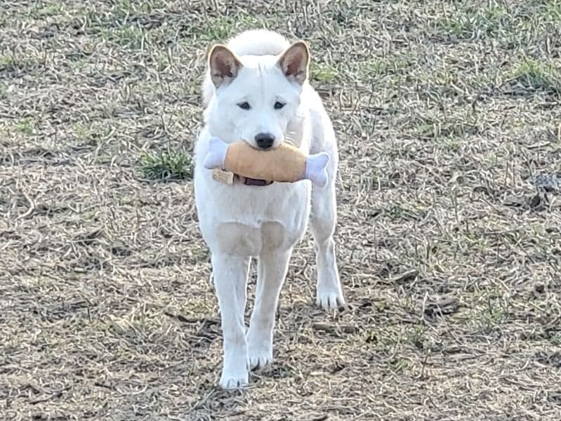 Winnie primary photo