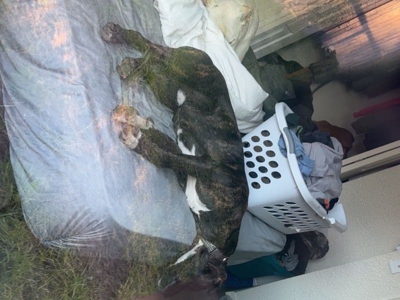 Wrecks primary photo