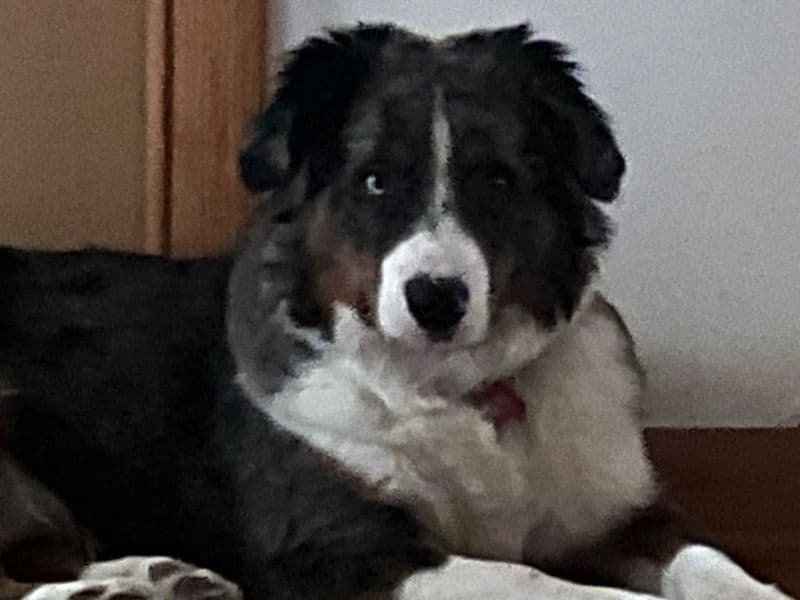 Bexley primary photo