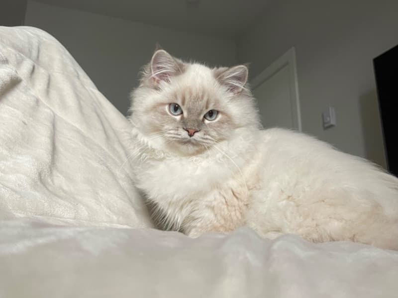 Minni primary photo