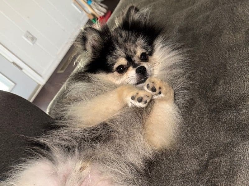 Teddy🧸 primary photo
