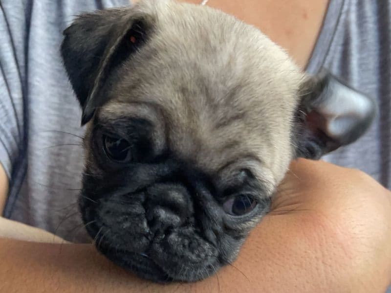 Cutie primary photo