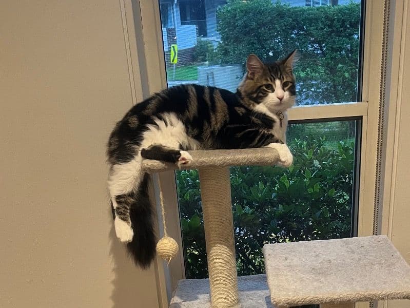 Pretty primary photo