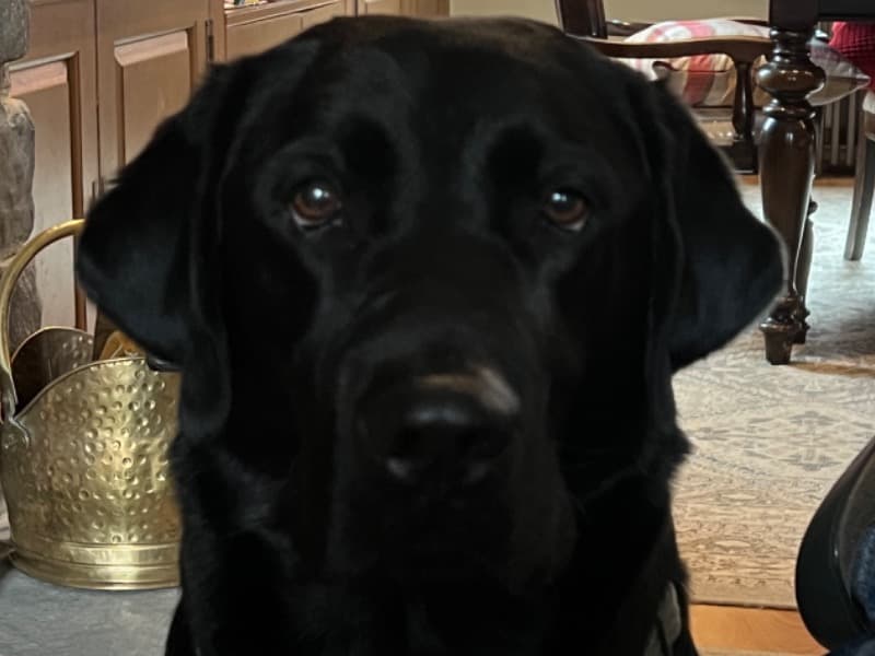 Gunner primary photo
