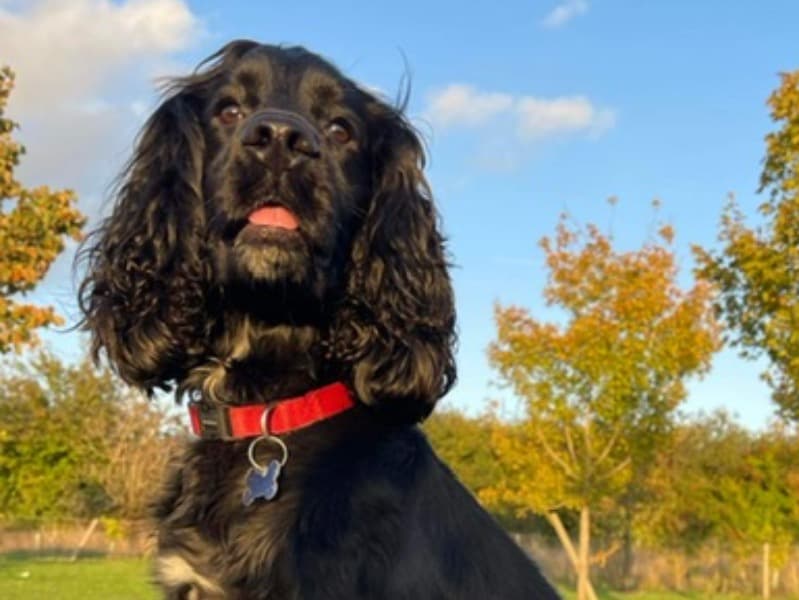 Max primary photo