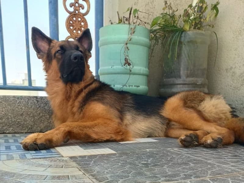 Ragnark primary photo