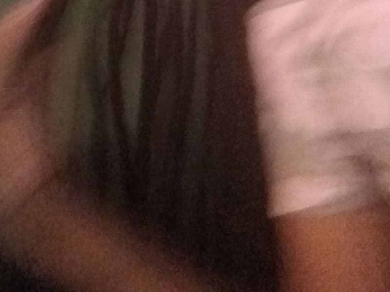 American PitBull Terrier 4 years 10 months old male large named Zen for breeding | Petmeetly