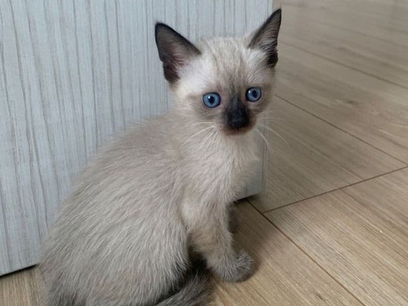 Tiny primary photo