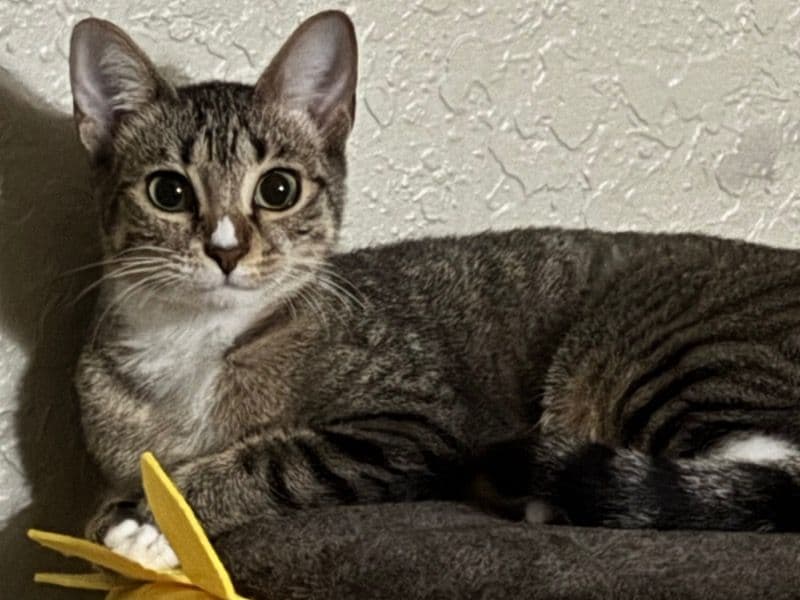 Yuki primary photo