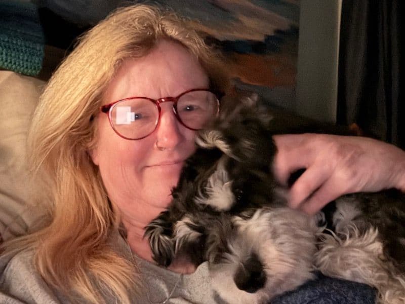 Standard Schnauzer 10 months old male medium named Maxx for sale in Glynn County, Georgia | Petmeetly