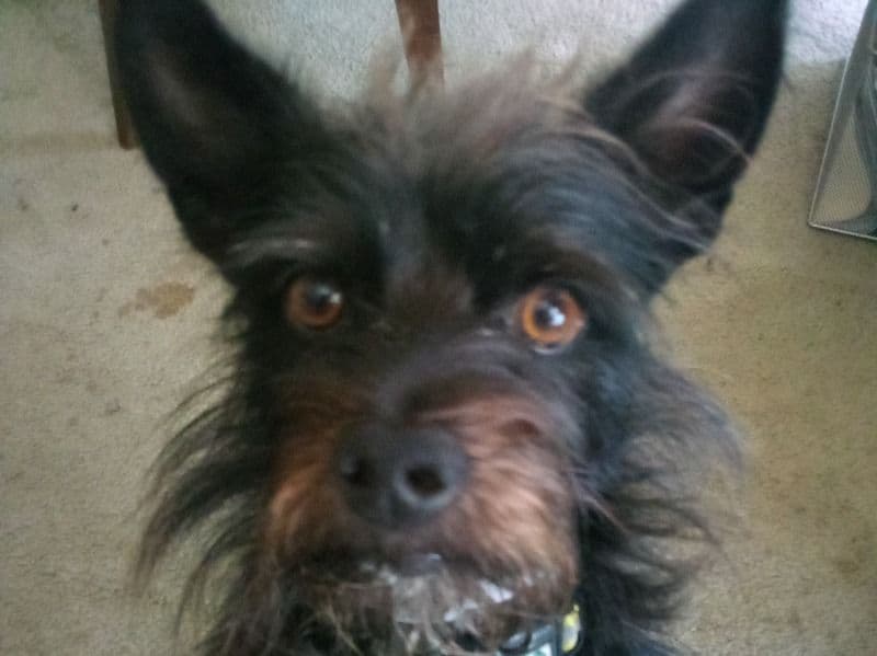 Onyx primary photo