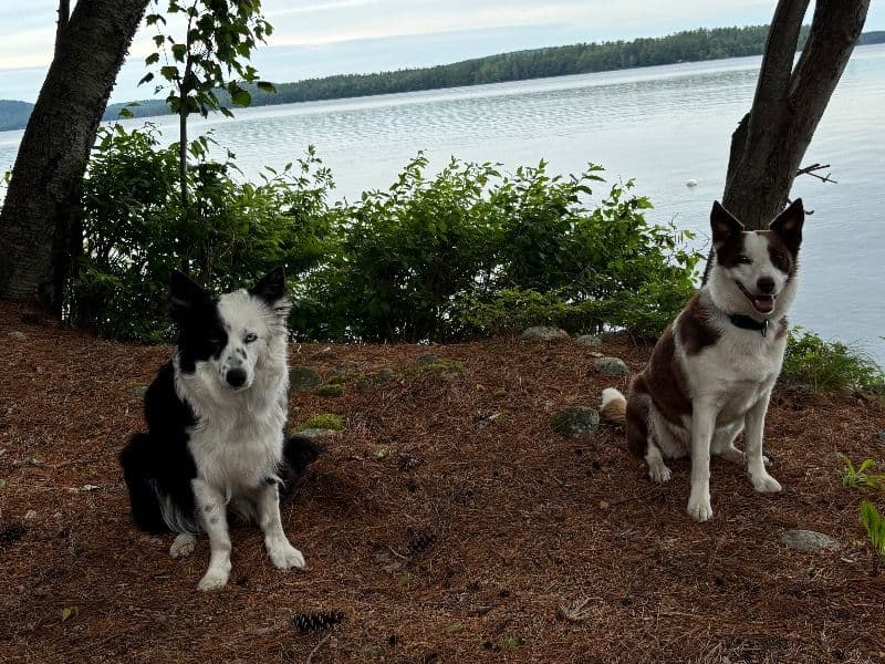 Aria & River primary photo