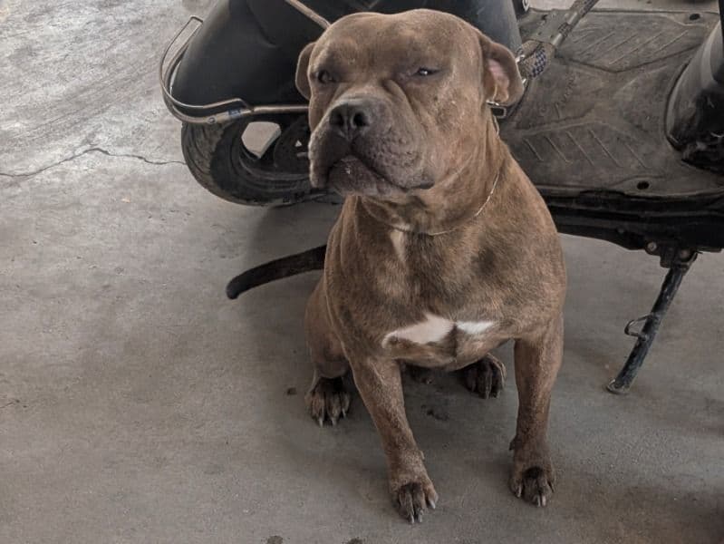 Ragnar primary photo