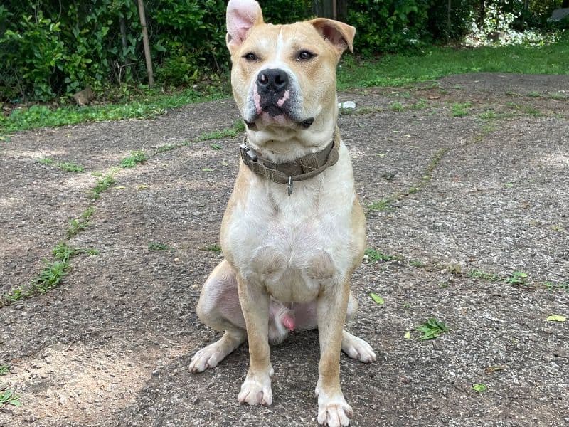 Kingston primary photo