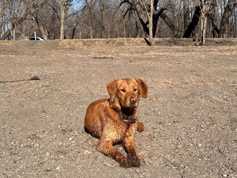 Nellie primary photo