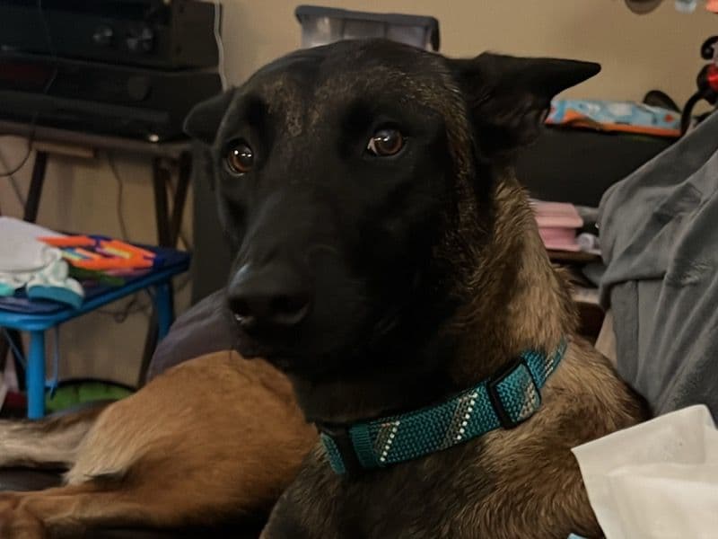 Eris’s Chaos primary photo