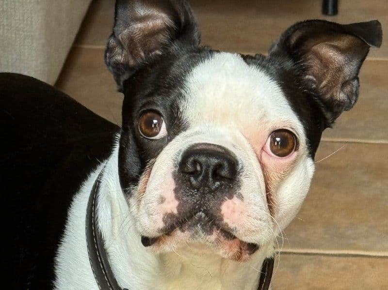 Zeus primary photo