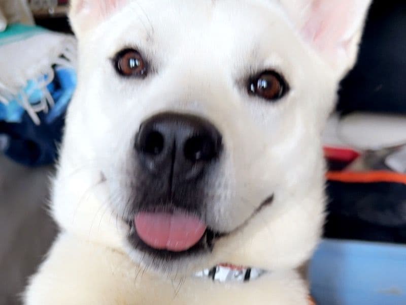 Rosie primary photo