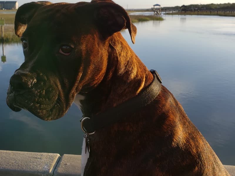 Zeus primary photo