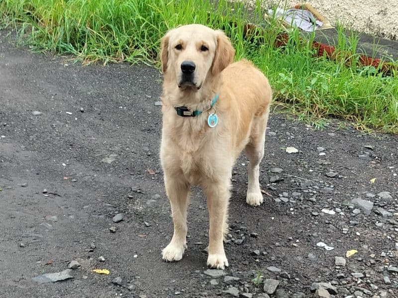 Charlie primary photo