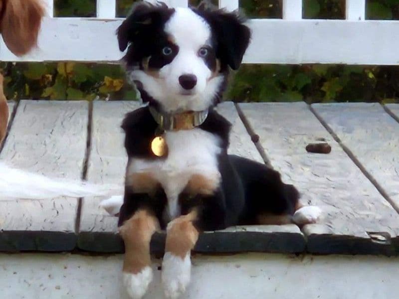 Max primary photo