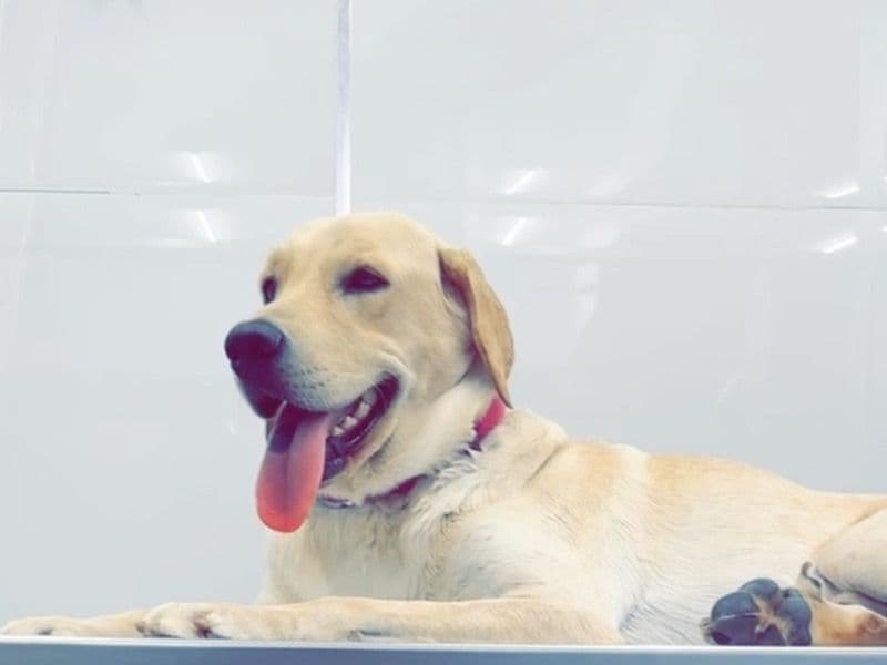 Max primary photo