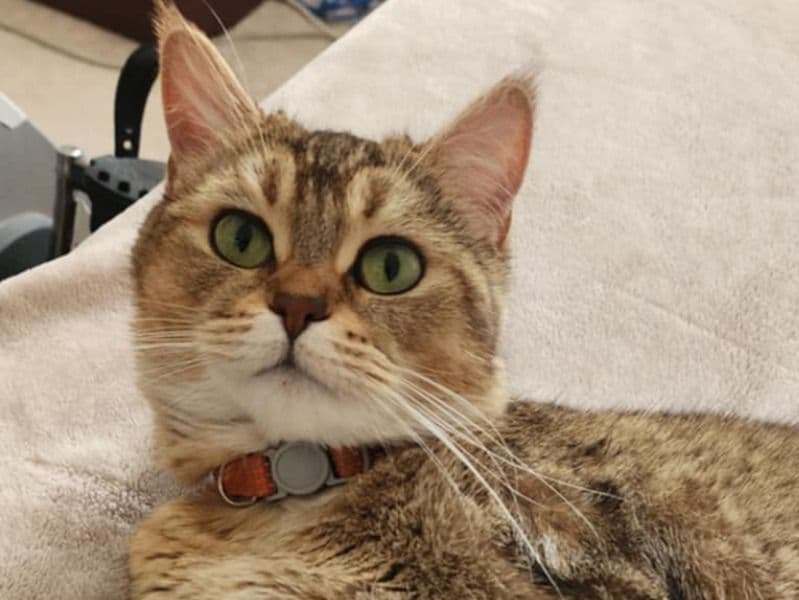 Yuki primary photo