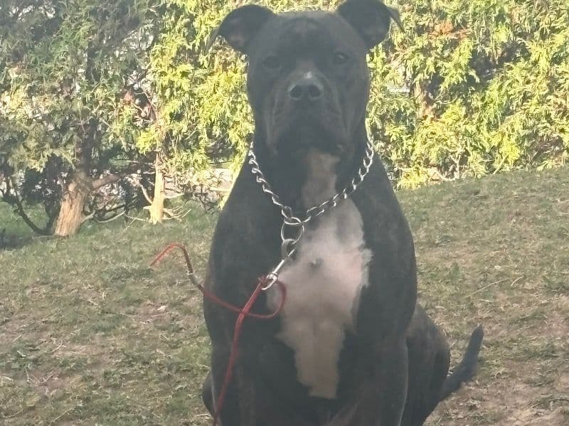Dinero primary photo