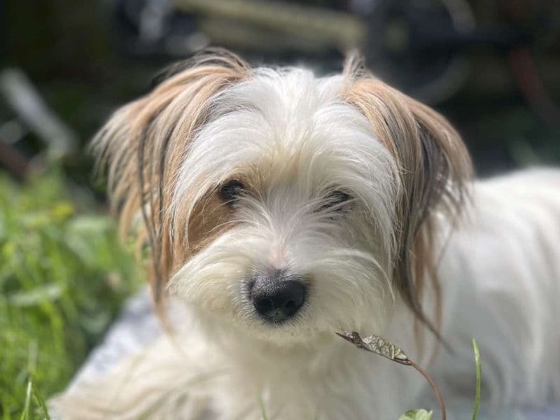 Betty primary photo