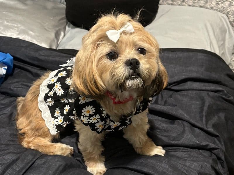 Khloe primary photo