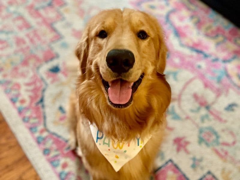 Butters primary photo